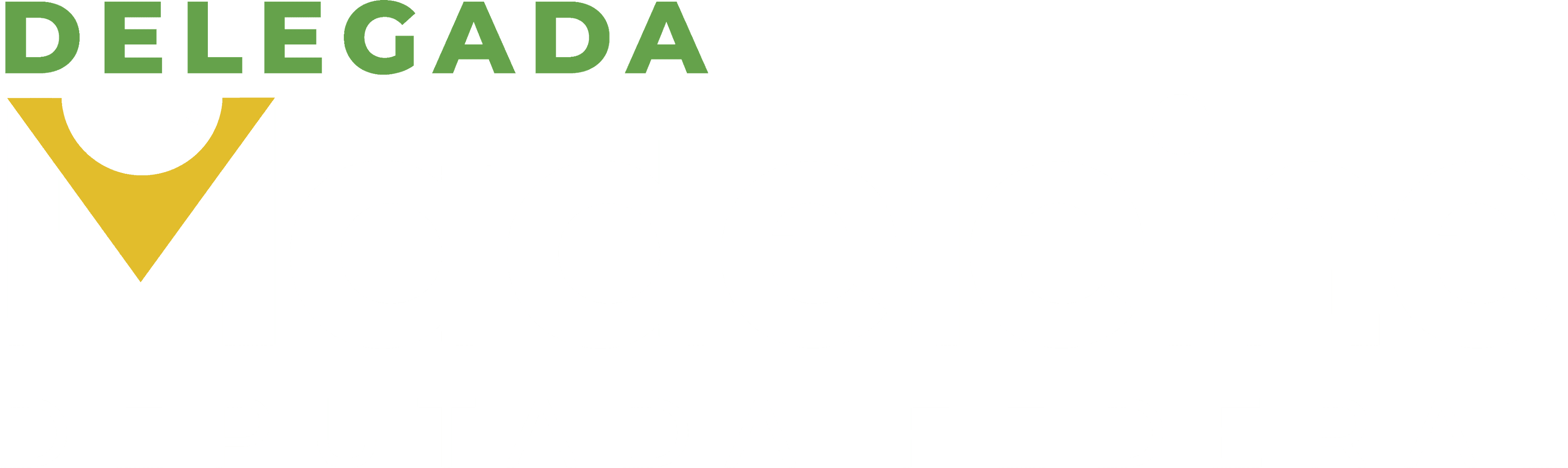 Delegada Madeleine — Deputada Federal